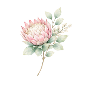 Protea (2)